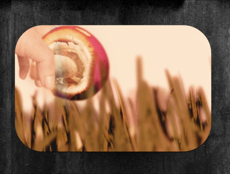 Haiku: Animation Short