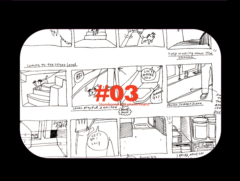 Dogumentary: Storyboard